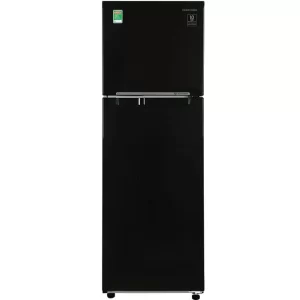 Tủ lạnh Samsung Inverter 256 lít RT25M4032BUSV